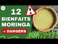 Moringa  ses bienfaits et dangers pour la sant plante miracle