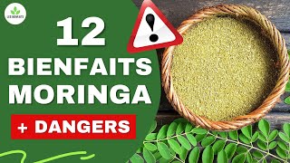 MORINGA : SES BIENFAITS ET DANGERS POUR LA SANTÉ (PLANTE MIRACLE)