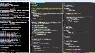 Stream 1 • Coding on Swiboe (no sound) Wealth