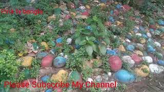 Bangladesh Film Development Corporation (BFDC)