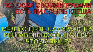 Рентабельность пасеке МЁД 40 гр ЧТО ДАЛЬШЕ? ОСЫПЬ КЛЕЩА РАБОТАЮТ ПОЛОСКИ ИЛИ НЕТ РЕЗУЛЬТАТ ☝️✅🐝