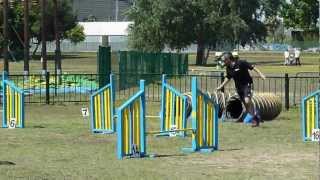 Hugo e Kissy - Alamillo May 2012 - Agility A3