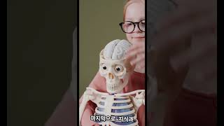 치매 예방과 두뇌 건강 유지법