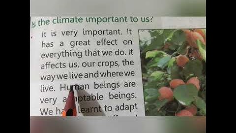 Class, Four, S.S.T, Chapter No: 07, Lecture No: 02 || The Professionals