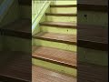 BACKROOMS (pt.2) //#backrooms #essa #ezraishungry #backroomsfoundfootage #abandoned #abandonedplaces