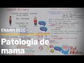 Cáncer de mama y otra patología de mama #ENARM2020