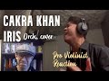 Cakra Khan, "Iris" (orchestral version), Pro Violinist Reaction
