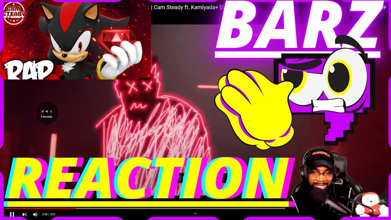 SHADOW THE HEDGEHOG RAP SONG |