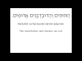 Learn hebrew phrases  colors