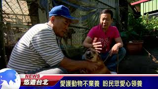 1080201【悠遊台北新聞】愛護動物不棄養 盼民眾愛心領養(記者 陳家豐)
