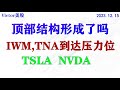 标普500顶部结构是否形成？IWM TNA到达压力位。TSLA  NVDA走势分析。