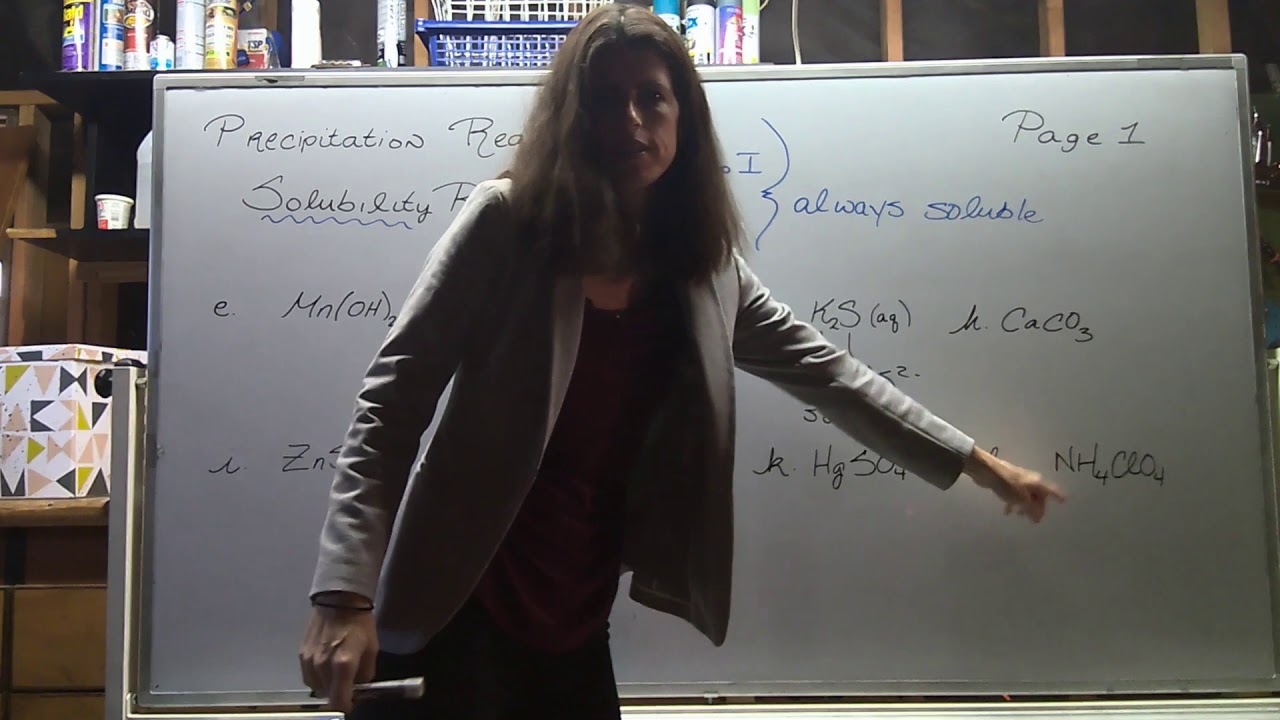 CHEM100: Solubility and Precipitation Reactions - YouTube