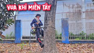 Vua Khỉ quay trở lại Sa Đéc sau 6 ngày giải giải lao.