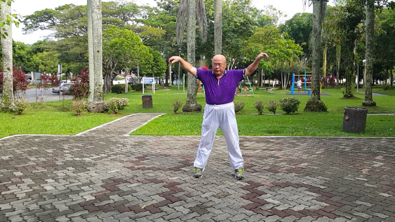 Taiji Qigong Shibashi ~ Set 3
