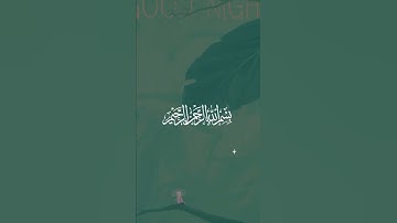 سورة الكوثر القارئ عبد الرحمن مسعد🌿