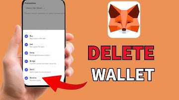 How to Delete a Wallet in MetaMask 2025?