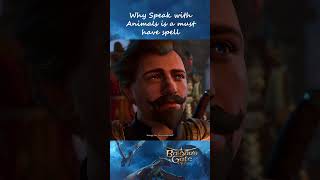 Why Speak with Animals is a MUST HAVE Spell (Part 2) - Baldur&#39;s Gate 3
