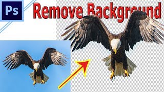 How to remove Background in Photoshop | Help in Tamil