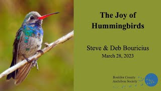 The Joy Of Hummingbirds Steve Deb Bouricius - March 2023