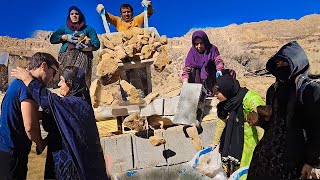 Cooperation of the Grandma's Family to Help the Little Goats