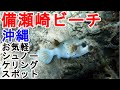 【沖縄旅行】沖縄で気軽に行けるシュノーケリングスポット！備瀬崎ビーチ