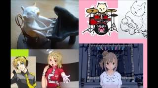 Download lagu nekopi cat PV8 nekopi cat PV8
