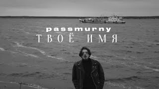 passmurny - Твоё имя (mood video)