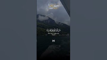 - تلاوة شجية للشيخ عبدالله عواد الجهني ( ربنا وتقبل دعاء) من سورة إبراهيم🌹