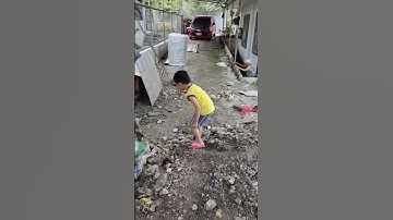 digging soil #cute #shorts #shortsfeed #funny