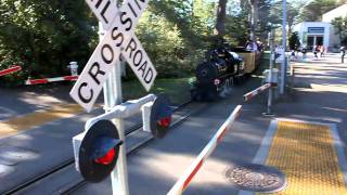 SF Zoo Steam Train