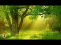 Relaxing Zen Music, Stress Relief Music, Sleep Music, Meditation Music, Study, Flowing Stream ☯3752