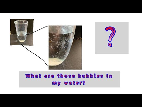 ვიდეო: უნდა იყოს ბუშტუკები წყლის დალუქვის კამერაში?