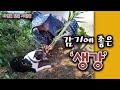 감기에 좋은 생강 : 생강의 효능 : 생강차 [자연을 닮은 사람들]
