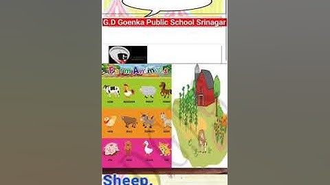 Grade KG evs dated 9 6 2021