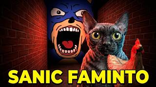 ENTREI no LADO OCULTO do Big Maze e achei uma GALINHA FALANTE? 🐔😨 #sanic 