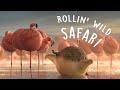 Rollin safari  what if animals were round