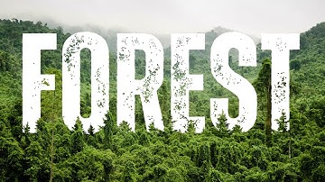 Create Stunning Forest Text Effects Animation in Canva | Nature-Inspired Typography