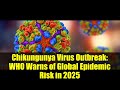 Chikungunya Virus Outbreak WHO Warns Of Global Epidemic Risk In 2025 Chikungunya Virus Outbreak WHO Warns Of Global Epidemic Risk In 2025