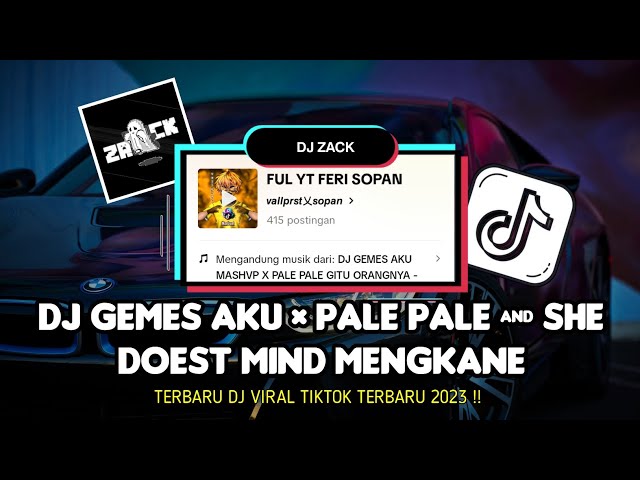 DJ GEMES AKU × PALE PALE & SHE DOEST MIND MENGKANE !! Viral Tiktok 2023 🎶 || GZ Zack 🎧 || class=