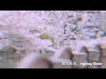 西城秀樹/眠れぬ夜(Spring Mode)
