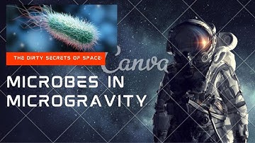 The Dirty Secrets of Space: Microbes in Microgravity