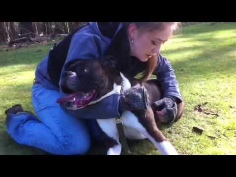 მწვრთნელმა ძაღლის გაჩერებული გული აამუშავა