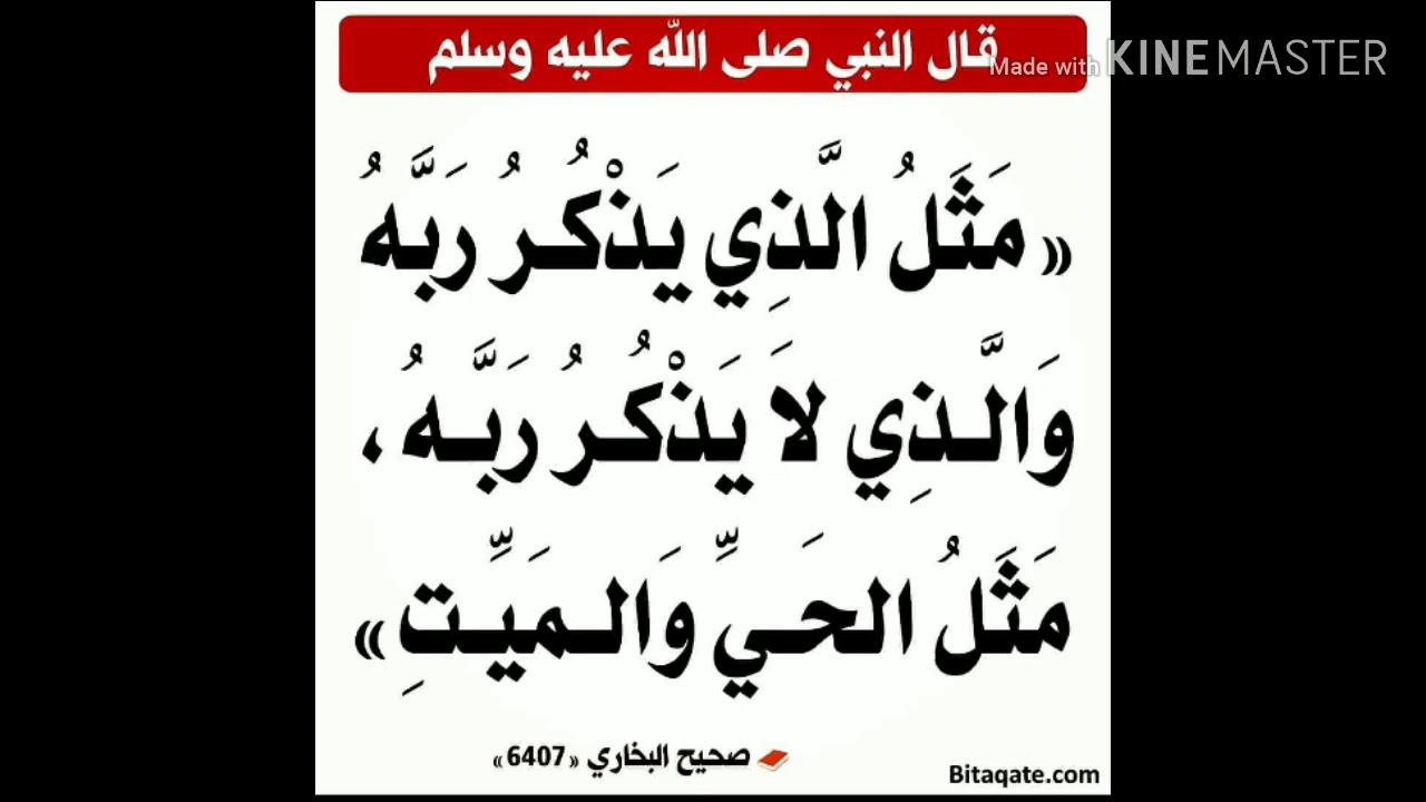 aap-zinda-hai-ya-murda-youtube