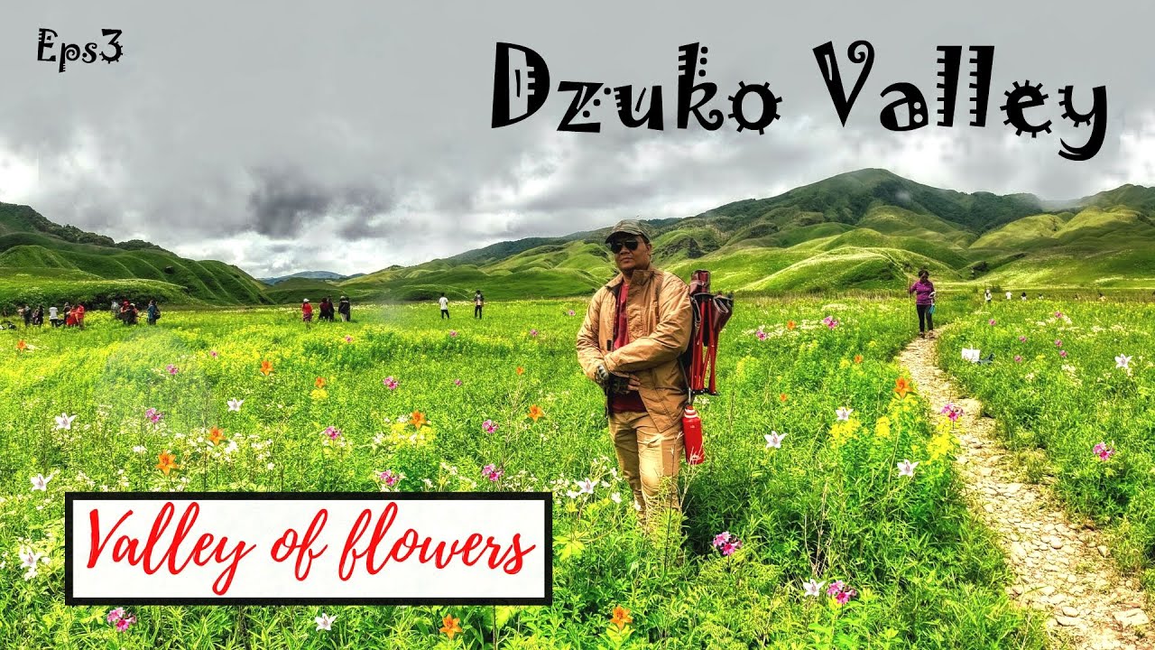 Valley Of the Flowers Trek | Ep3 | dzukou valley | Trek and Camping in ...