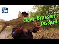 Brassen🐟, Güster🐡, Plötze🐠, Hecht🎣 - Alles Nichts Oder🤔? Fischen. Oder. Fangen. - Teil 4