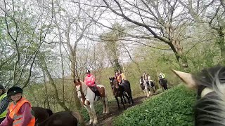 Bella meets a group ride. Will she Nap?