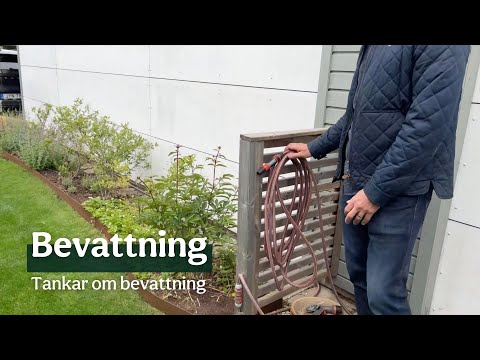 Video: Ska du vattna gräsmattor?