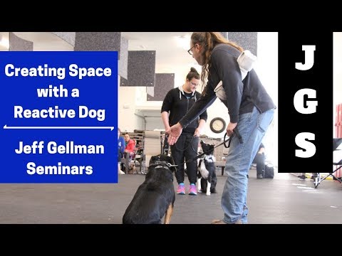 creating-space-with-a-reactive-dog---jeff-gellman-seminars---elkhart-in(2019)