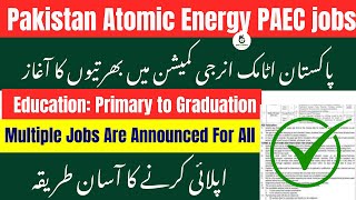 PAEC Internship 2025 | Apply Online | Pakistan Atomic Energy Commission Paid Internship Program