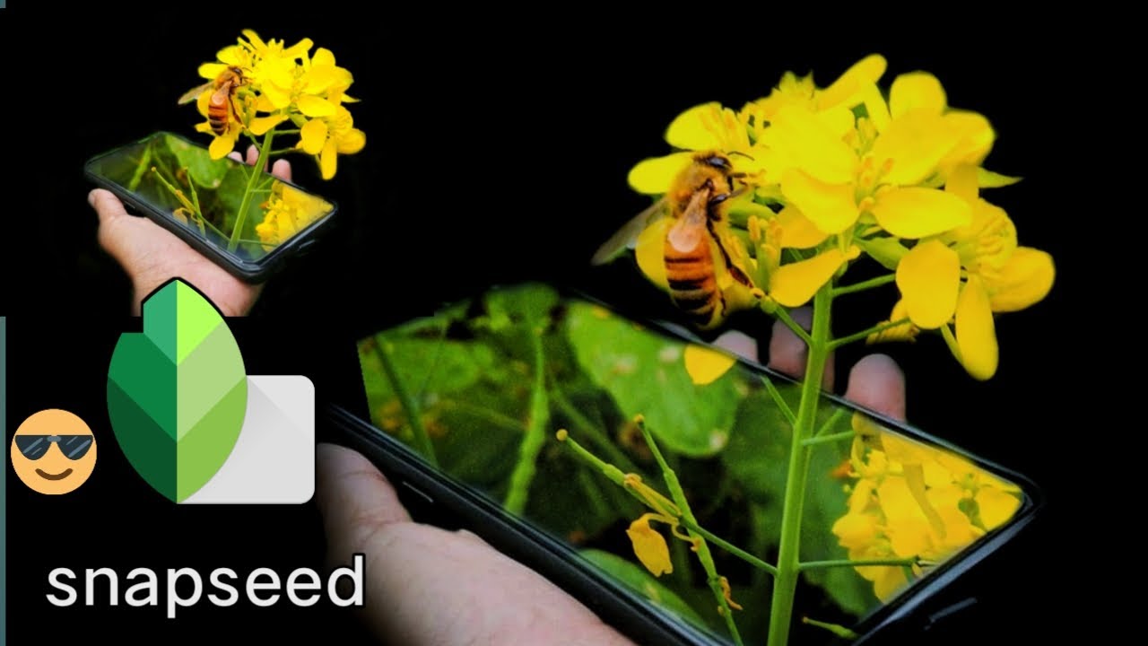 Creative 3d mobile editing | 3d mobile frame photo editing | snapseed Tutorial | flower photography